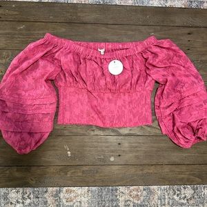 NWT Pink Textured Crop Top with Sleeves (Size Medium)